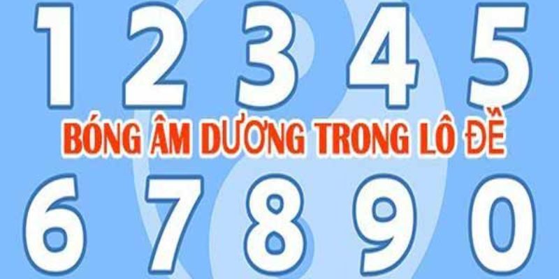 Quy luật bóng dương dễ hiểu cho mọi hội viên tham gia cược